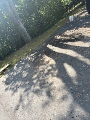 Cleared paved driveway beside a wooded property